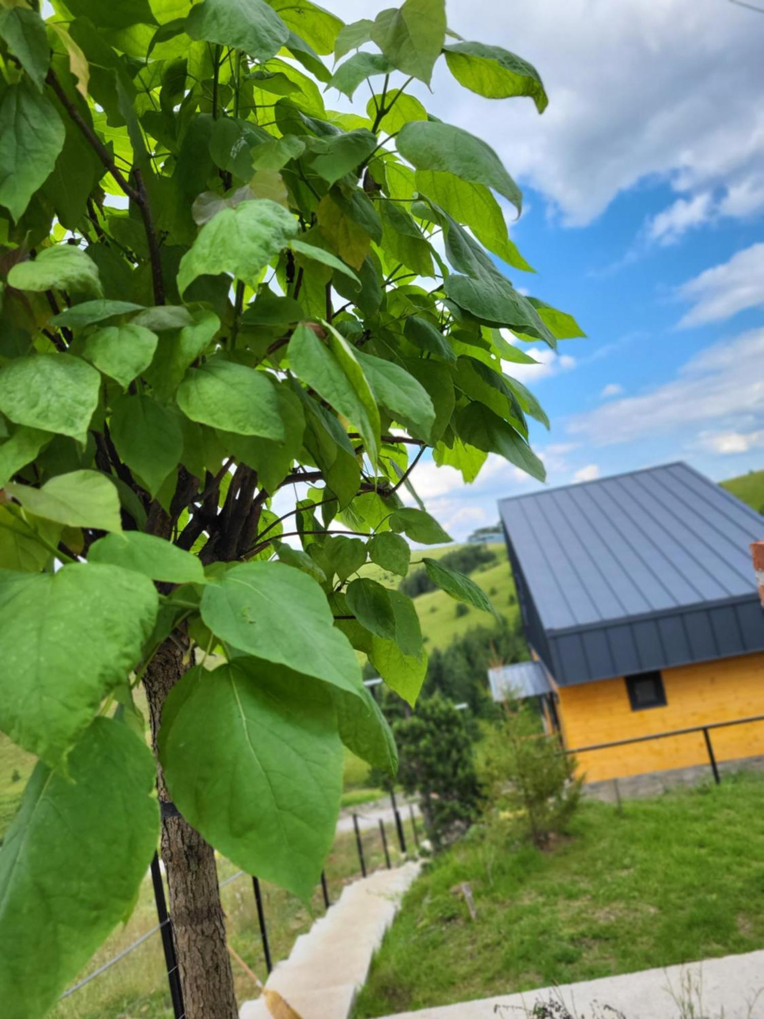 Vila Huut Zlatibor Exteriér fotografie