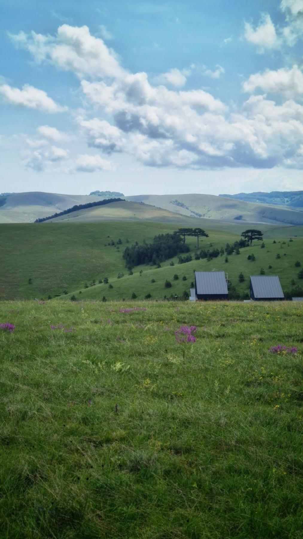 Vila Huut Zlatibor Exteriér fotografie