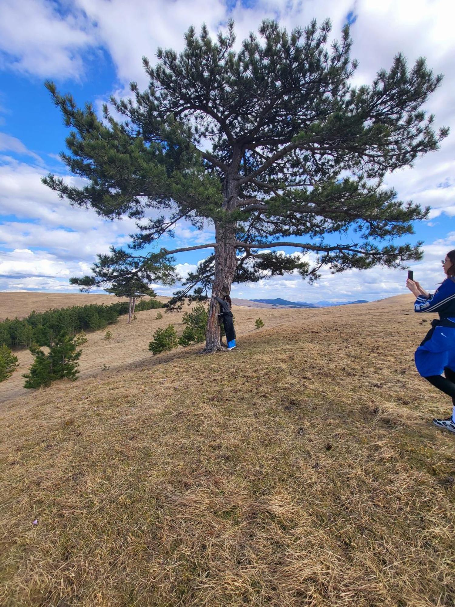 Vila Huut Zlatibor Exteriér fotografie